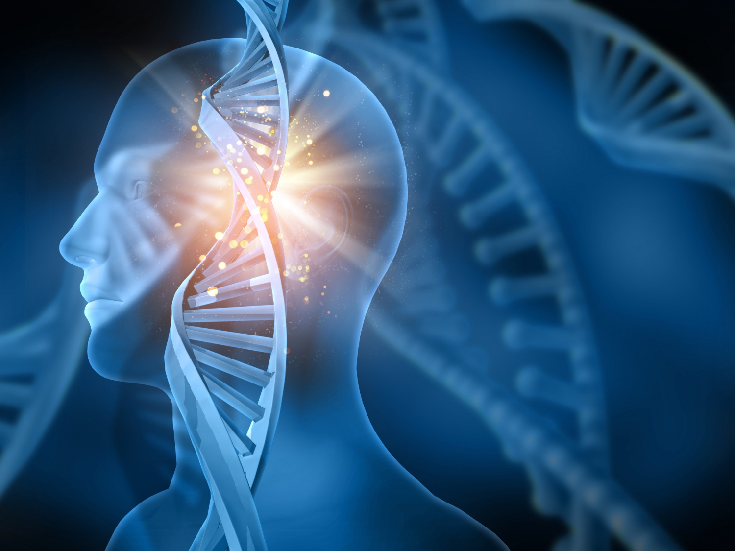 Alpha Brain Waves