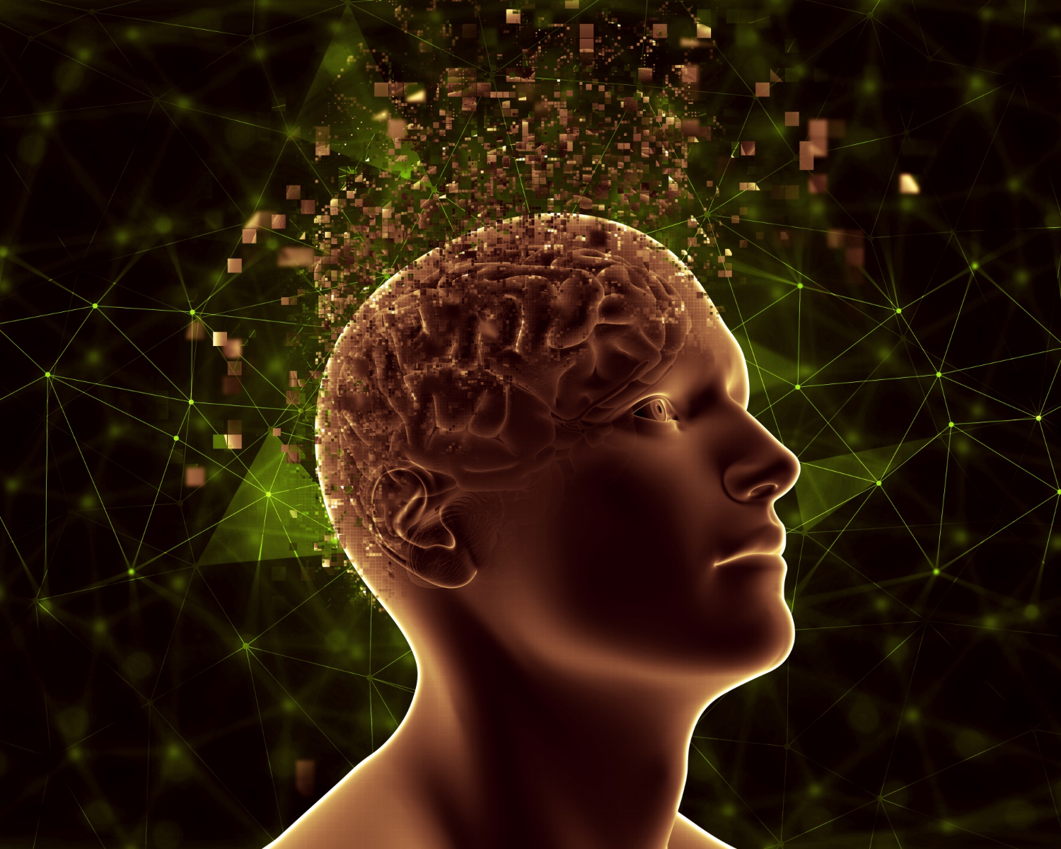 can you Increase Your IQ